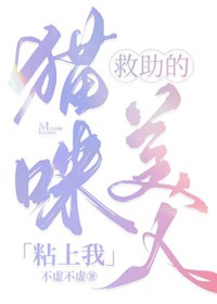 救助的猫咪美人粘上我